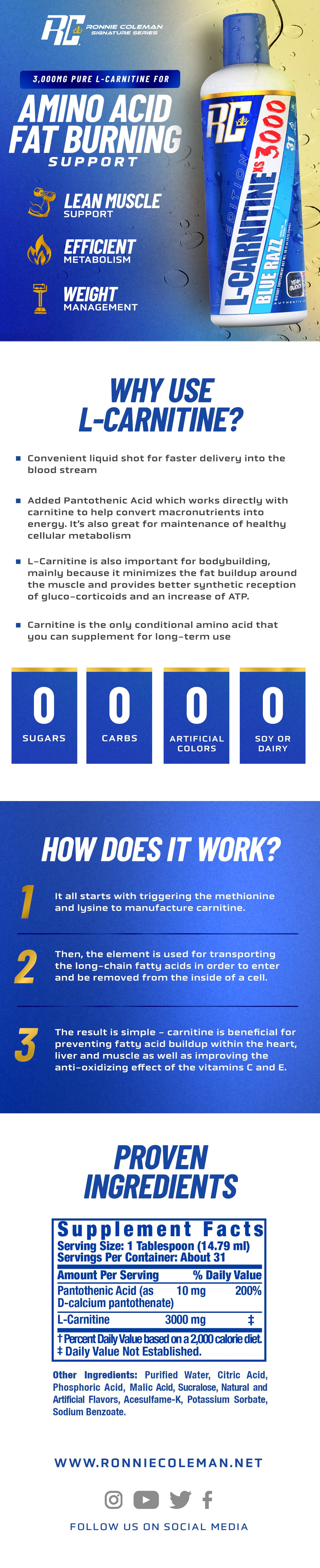 RC L-Carnitine 3000