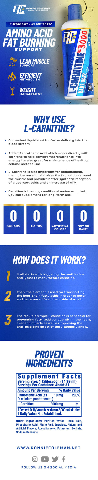 RC L-Carnitine 3000